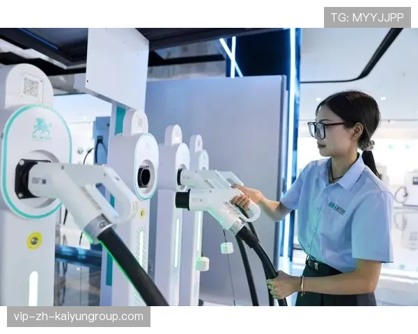 召回潮下，国产充电设备企业面临转型考验，中国充电设施行业十大竞争力品牌